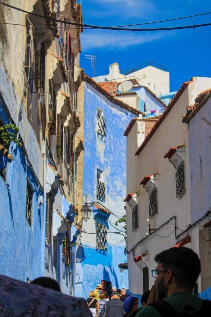 The North of Morocco in 3 Days ; Including Fes - Who Is This Tour Best For?