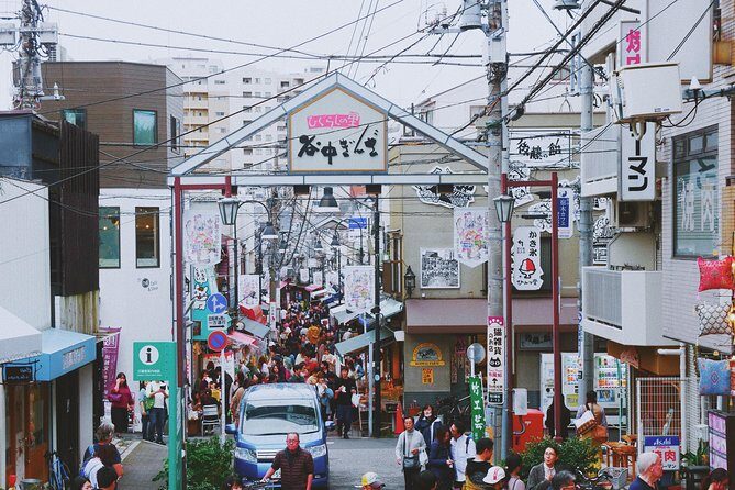 The Old Quarter of Tokyo - Yanaka Walking Tour - Practical Tips for the Tour