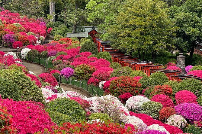 The Old Quarter of Tokyo - Yanaka Walking Tour - Final Thoughts
