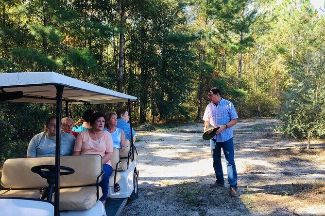 The Olive Grove Tour - Introducing The Olive Grove Tour: A Taste of Georgia’s Hidden Gem