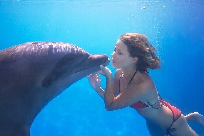 The only Natural Space Dolphin Encounter in Cabo Optional Pickup! - A Deep Dive into the Dolphin Encounter Experience