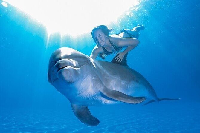 The only Natural Space Dolphin Encounter in Cabo Optional Pickup! - Frequently Asked Questions (FAQs)