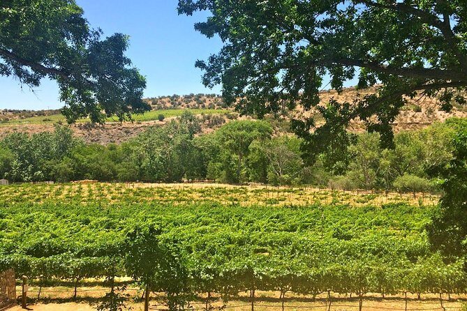 The Original 4 Winery Tour with Charcuterie - The Included and Excluded