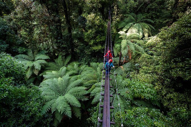 The Original Canopy Zipline Experience Private Tour From Auckland - Introducing the Zipline Adventure That Checks All the Boxes