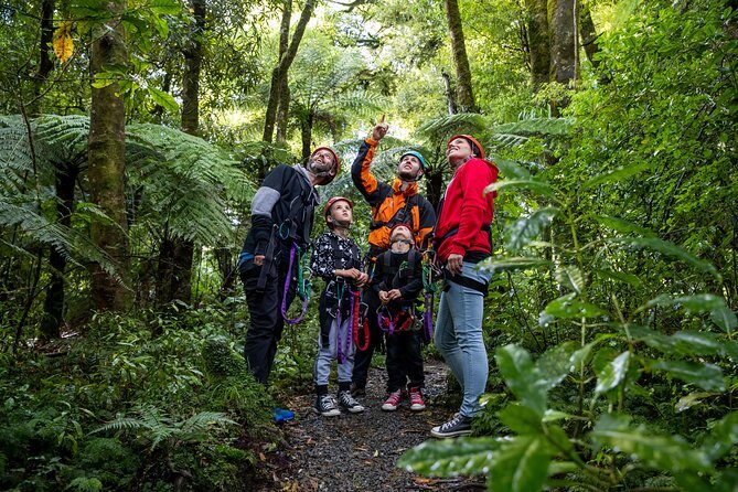 The Original Canopy Zipline Experience Private Tour From Auckland - What Makes This Tour Stand Out?