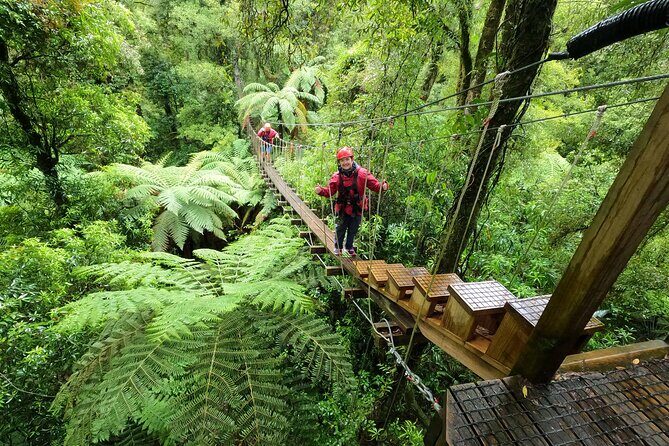 The Original Canopy Zipline Experience Private Tour From Auckland - Who Should Consider This Tour?