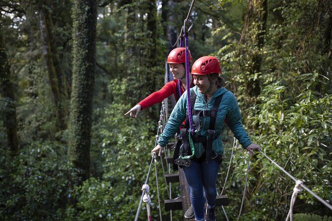 The Original Canopy Zipline Experience Private Tour From Auckland - The Sum Up: Who Will Love This Experience?