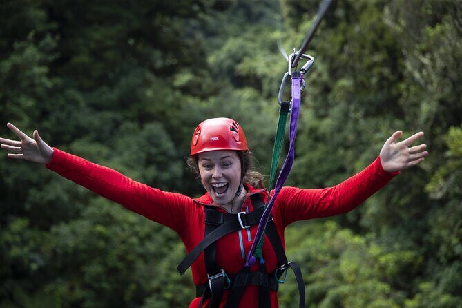 The Original Canopy Zipline Experience Private Tour From Auckland - FAQ: Practical Questions Answered