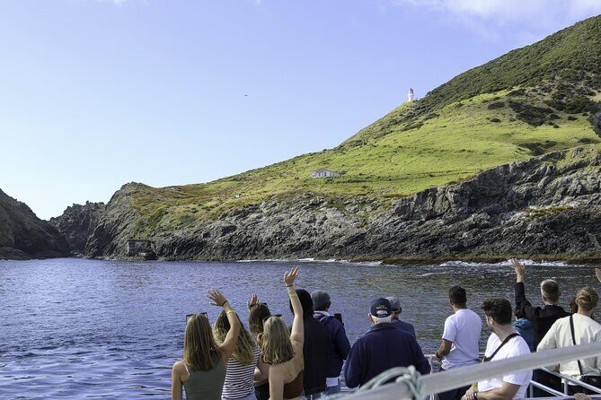 The Original Full day Bay of Islands Cruise with Dolphins - An In-Depth Look at the Itinerary