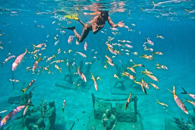 The Original Underwater Sculpture Park Snorkel Tour - FAQs