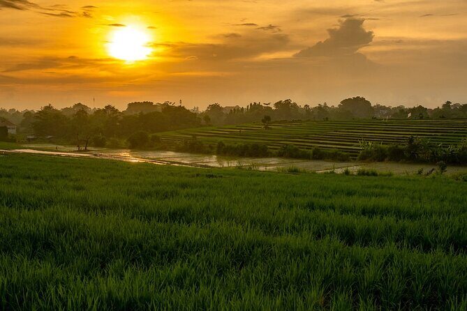 The Other Side of Bali - The North - Who Will Love This Tour?