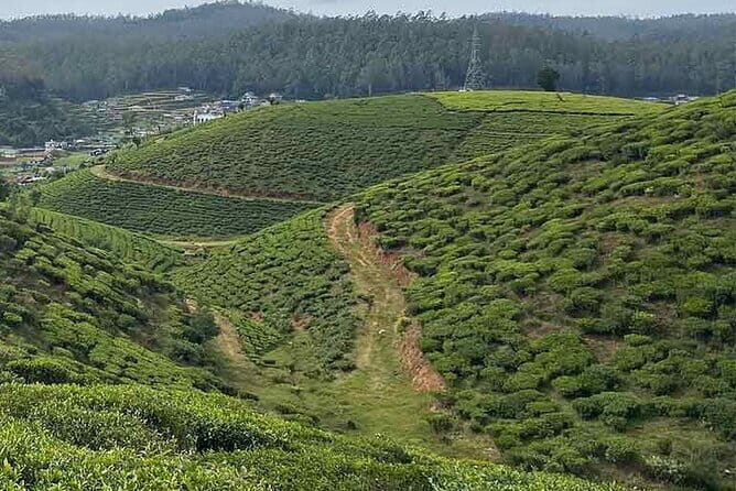 The Pekoe Trail Stage 16- Ella to Demodara - A Deeper Look Into the Pekoe Trail Stage 16