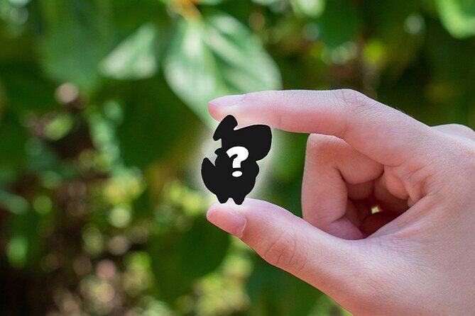 The Piece-ful General - Ransack Puzzle Hunt - FAQs