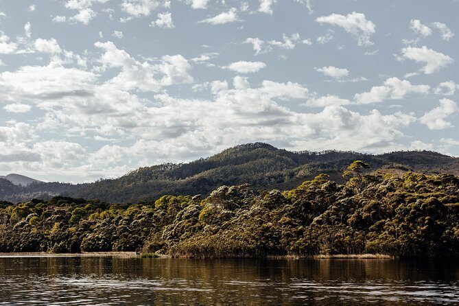 The Pillinger Explorer - The Sum Up: A Genuine Coastal Experience Worth Considering