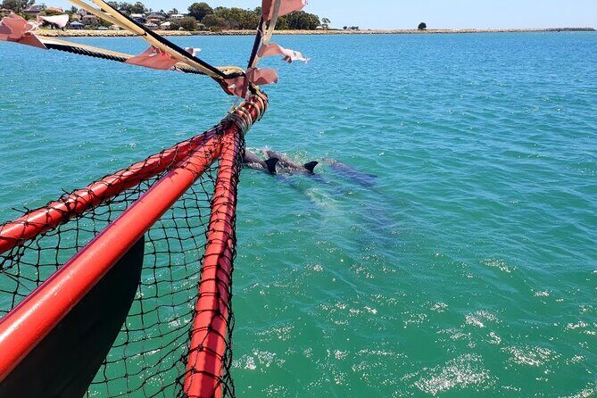 The Pirate Cruise in Mandurah on Viator - An In-Depth Look at the Mandurah Pirate Cruise