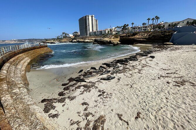 The Plunge E-Bike Tour in La Jolla - The Sum Up