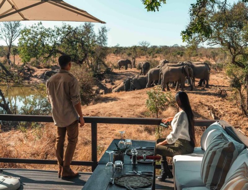 The Private Great Africa Escape 11 Days, Cape Town to Chobe - Who Will Love This Experience?