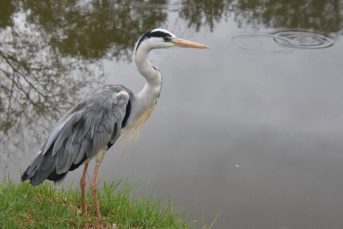 The Private Wildlife Tour - Who Will Love This Tour?
