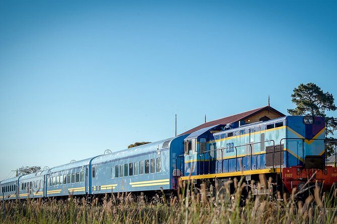 The Q Train - Q Class Social Dining - Reviews in Perspective