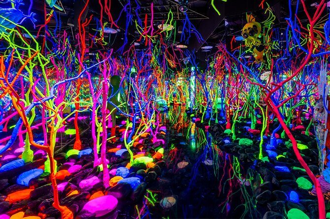The Real Unreal at Meow Wolf Grapevine - FAQ