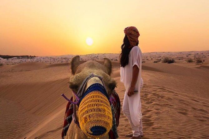 The Red Sand Bashing (RAH Signature Safari) - An In-Depth Look at the Tour