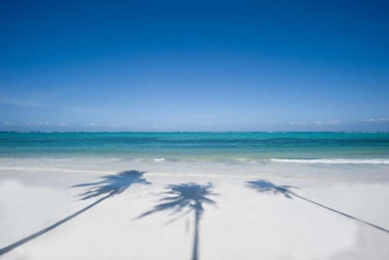 The Rock, Jozani Forest, Kuza Cave & Paje Beach - Frequently Asked Questions