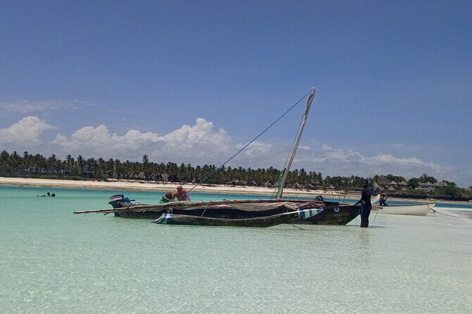 The Rock Restaurant & Blue Lagoon Half Day Tour in Zanzibar - Who Would Love This Tour?
