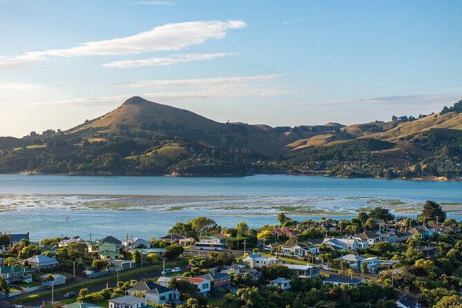 The Seasider - See Otagos Coastline From a New Perspective - An In-Depth Look at the Seasider Experience