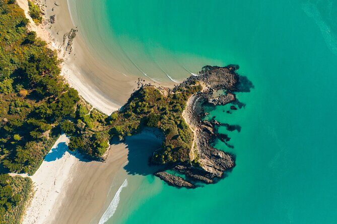 The Seasider - See Otagos Coastline From a New Perspective - Price and Value