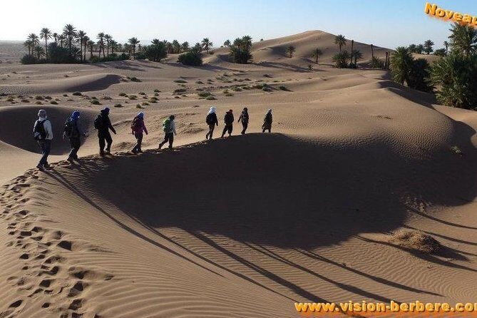 The secret of the camel trekking desert - First Impressions and Overall Value