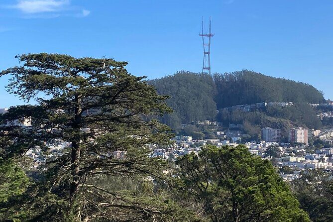 The Secrets of Golden Gate Park: A San Francisco Chronicle Self-Guided Tour - Limitations and Considerations
