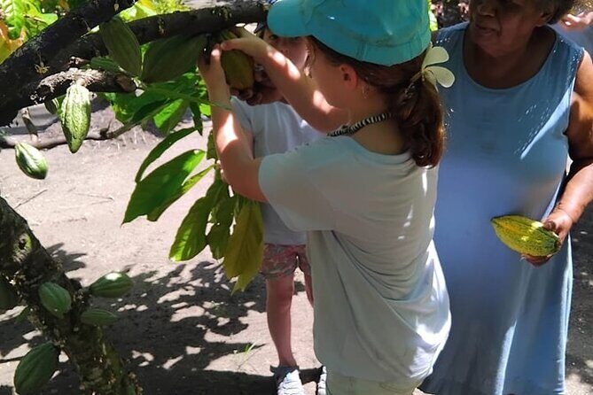 The Solomon Chocolate trail - Key Points