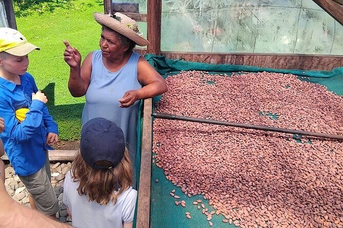 The Solomon Chocolate trail - A Closer Look at the Solomon Chocolate Trail
