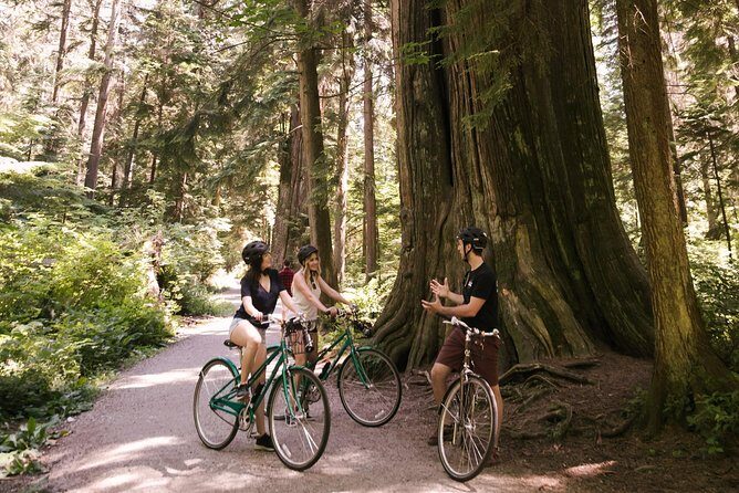 The Stanley Park Bicycle Tour by Cycle City Tours - The Return Journey