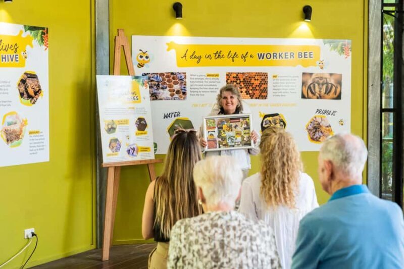 The Sunshine Coast: The Ginger Factory Play Taste & Discover - Value for Money