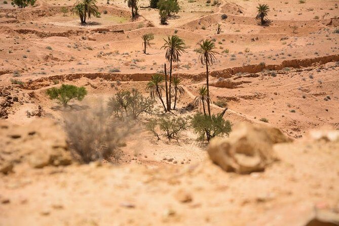 The three desert and mountain oases - Who Should Consider This Tour?