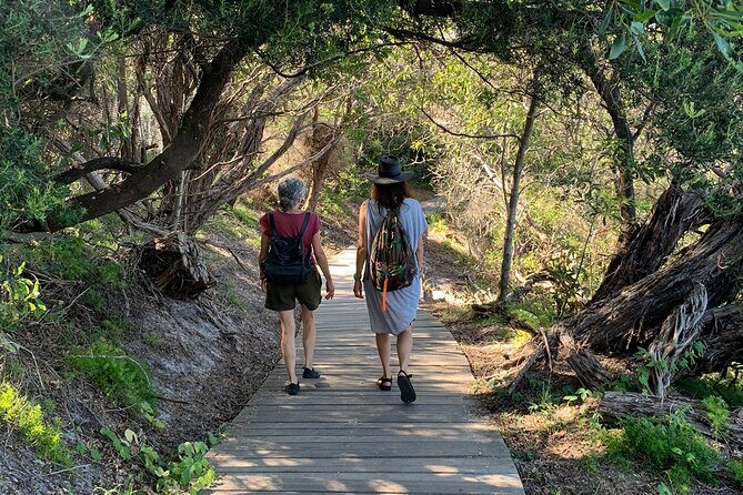The Top Ten Hidden Harbour Beaches Tour with Jen - The Sum Up