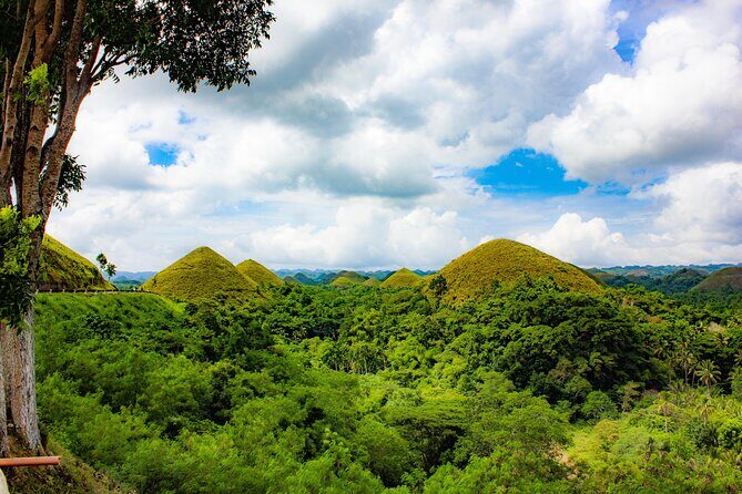 The tour of the must-see sites of Bohol - The Sum Up: Who Is This Tour Best For?
