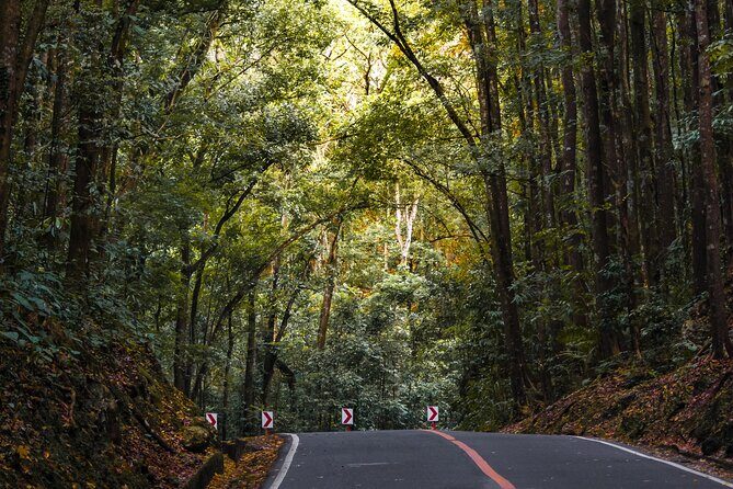 The tour of the must-see sites of Bohol - FAQ