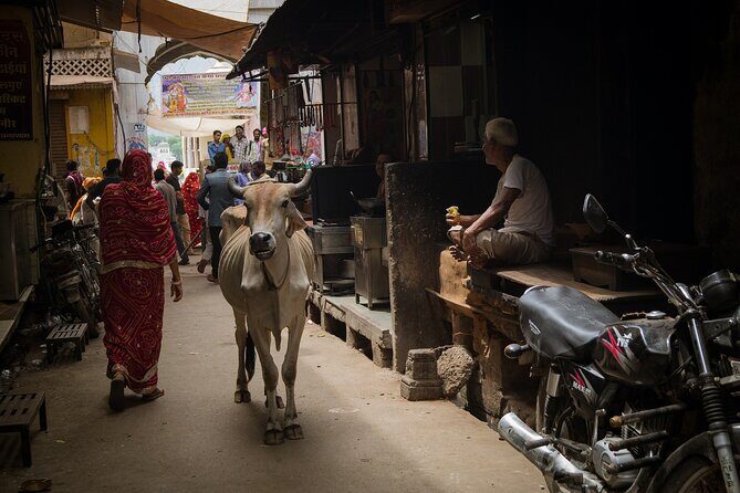 The Ultimate 3 Days in Varanasi - How to Spend 39 Hours - For First Timers - An In-Depth Look at the 3-Day Varanasi Tour