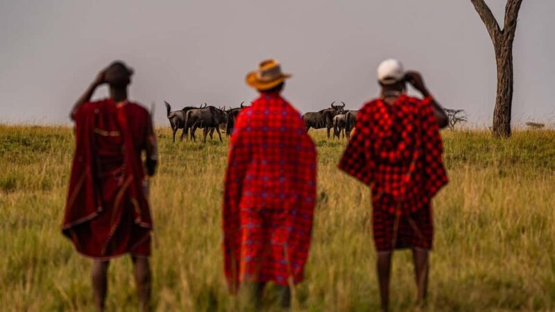 The Ultimate 7 Days : Discover Tsavo, Amboseli & Masai Mara - Key Points