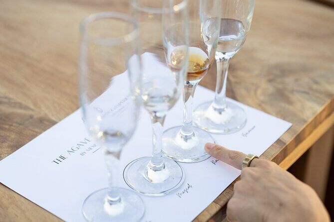 The Ultimate Agave Tasting with Tequila, Mezcal & more! - A Closer Look at the Experience