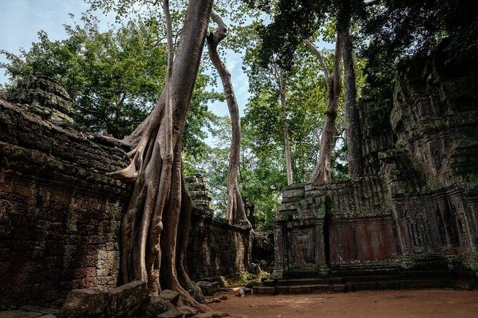 The Ultimate Angkor Wat Temple Private Day Trip - Authentic Insights from Travelers