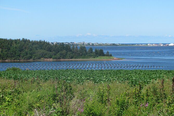 The Ultimate Anne of Green Gables Private Tour - The Value Proposition