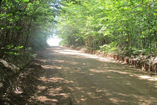 The Ultimate Anne of Green Gables Private Tour - Who This Tour Is Best For