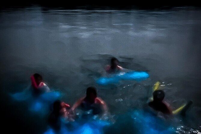 The ULTIMATE Bioluminescence night time adventure with Brandon - Key Points