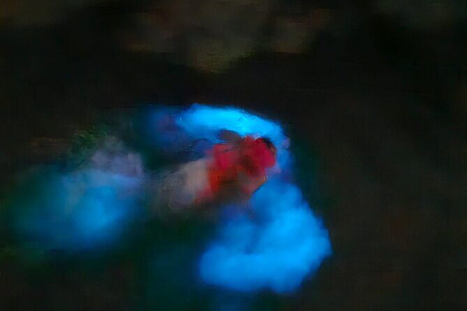 The ULTIMATE Bioluminescence night time adventure with Brandon - The Sum Up