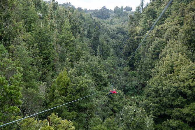 The Ultimate Canopy Zipline Experience Private Tour From Auckland - A Deep Dive into the Zipline Adventure