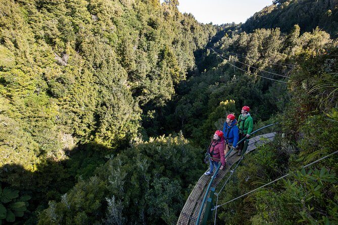 The Ultimate Canopy Zipline Experience Private Tour From Auckland - Practical Details: What You Need to Know