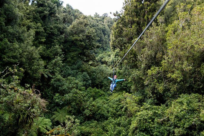 The Ultimate Canopy Zipline Experience Private Tour From Auckland - Frequently Asked Questions